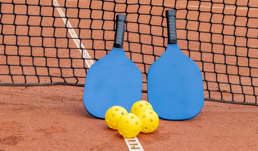 Best budget pickleball paddles tested on court with balls and net