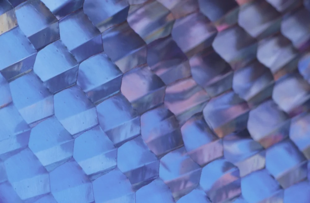 Aircraft-grade 5000-series alloy aluminum honeycomb core sheet showing metal cell matrix before composite face lamination